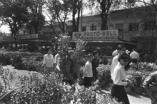 Một góc khu chợ hoa ở Sài Gòn bán nhiều loại hoa đua nhau khoe sắc năm 1966.