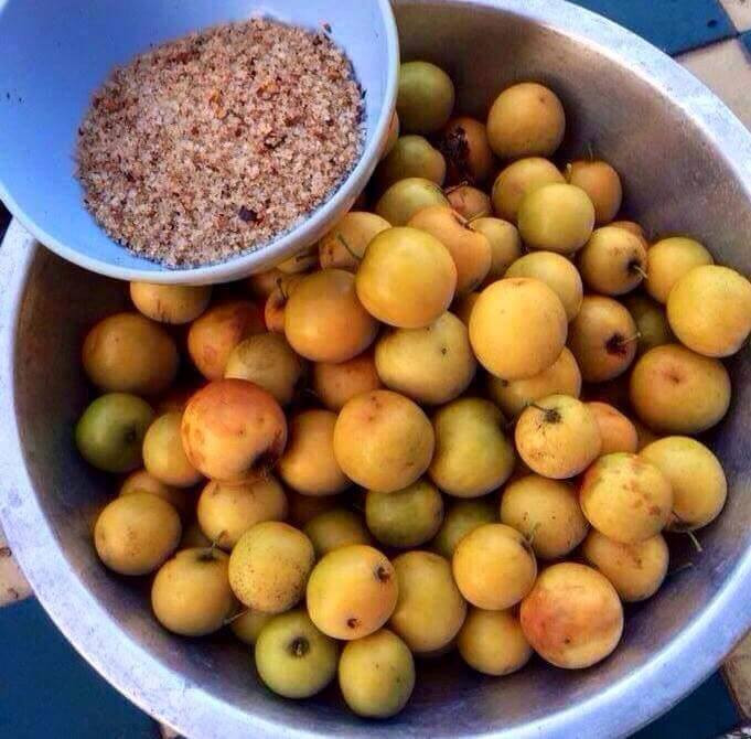 Táo dại dầm muối tôm cay.