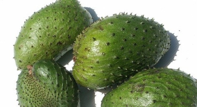 Qủa mãng cầu trên mâm ngũ quả cũng có thể sử dụng như một vị thuốc chữa bệnh.