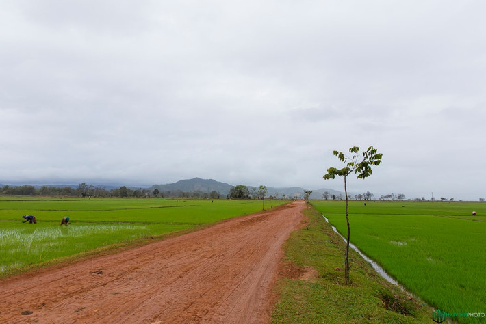 Chúng tôi quyết định chạy sâu vào bên trong. Người dân đã bắt đầu một mùa vụ mới của năm hai bên đường.