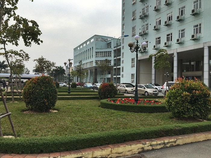 Một góc vườn hoa Bệnh viện K Tân Triều.