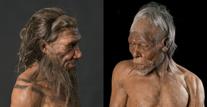 Thế nhưng, người Neanderthals tuyệt chủng vào khoảng 40.000 năm trước và duy chỉ có người Homo sapiens tồn tại đến ngày nay. Từ đây, công chúng tò mò vì sao người Neanderthals biến mất khỏi Trái đất dù có nhiều đặc điểm tương đồng giống người Homo sapiens, bao gồm cả bộ não?