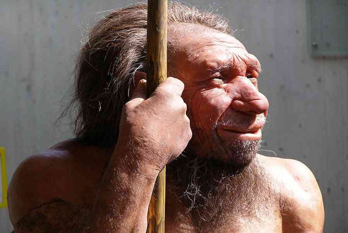 Tuy nhiên, nguyên nhân khiến người Neanderthal thất bại trong cuộc chiến sinh tồn trong khi người Homo sapiens tồn tại đến ngày nay trở thành bí ẩn lớn.