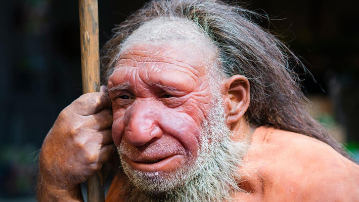 Laurent Nguyen, nhà thần kinh học tại Đại học Liège ở Bỉ, cho hay người Neanderthal đã ở châu Âu trước người Homo sapiens rất lâu. Do đó, người Neanderthal chắc chắn đã thích nghi với môi trường và khí hậu ở đó trước tổ tiên của chúng ta, bao gồm cả các loại mầm bệnh.