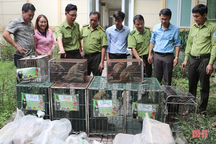 Vườn Quốc gia Vũ Quang ở tỉnh Hà Tĩnh đã tiếp nhận 30 cá thể động vật hoang dã từ Trung tâm Cứu hộ, Bảo tồn và Phát triển sinh vật Hoàng Liên thuộc Vườn Quốc gia Hoàng Liên, tỉnh Lào Cai. Sau đó, Vườn Quốc gia Vũ Quang tiến hành tái thả số động vật quý hiếm trên về về môi trường tự nhiên.
