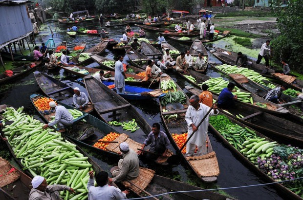 Chợ nổi trên hồ Dal- Srinagar là khu chợ rau củ nổi tiếng ở Ấn Độ. Nơi đây chỉ bán duy nhất các mặt hàng rau củ và thu hút rất đông người bán, người mua cũng như khách du lịch đến đây trải nghiệm không khí mua bán tấp nập trên sông nước.