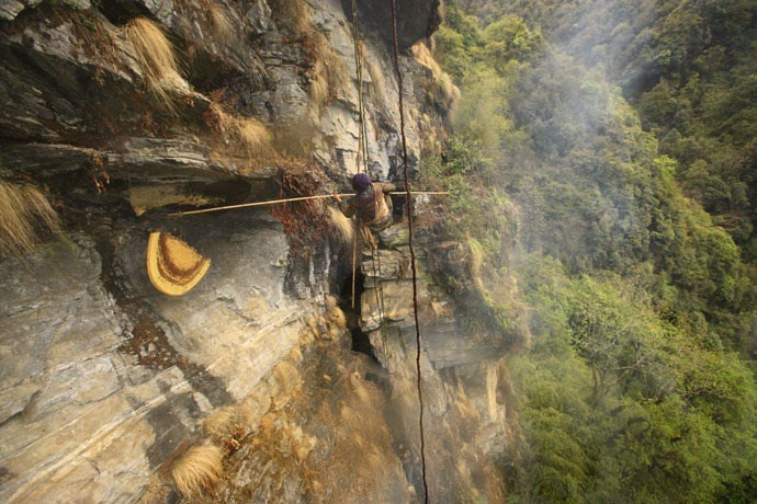 Cứ mỗi năm hai lần, những người “thợ săn” mật của dân tộc Gurung ở Nepal cùng nhau hội tụ lại để đi lấy mật ong rừng trên các vách đá cheo leo ở đỉnh Himalaya.