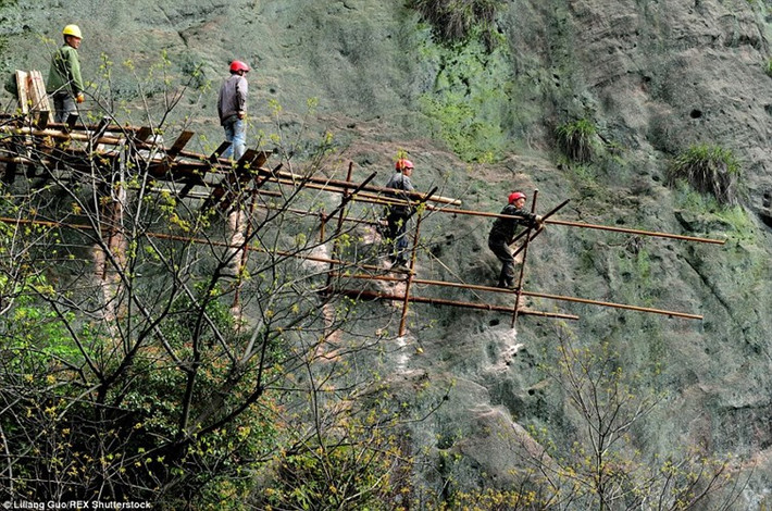 Họ làm việc trên giàn giáo ọp ẹp bằng gỗ được cố định vào vách núi cheo leo để tiếp tục mở rộng con đường.