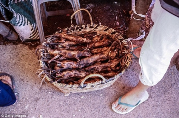 Theo một cuộc khảo sát ngẫu nhiên, người dân địa phương cho hay họ coi lợn, dơi là những món ngon trong vùng.