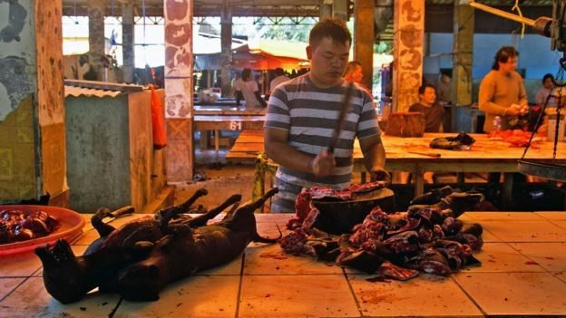 Khu bán thịt Minahasa ở chợ Tomohon nổi tiếng của Indonesia là chợ ẩm thực bán nhiều món ăn kinh dị khiến du khách ám ảnh.