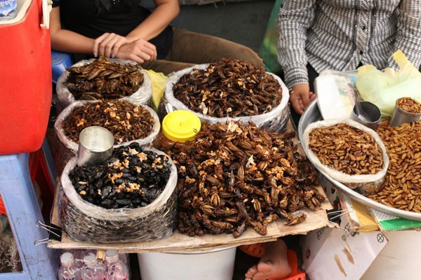 Những món côn trùng bày bán tại khu chợ được chế biến và tẩm gia vị rất thơm khiến cho du khách bị mê hoặc nhưng chắc rằng không phải ai cũng đủ can đảm để ăn thử.