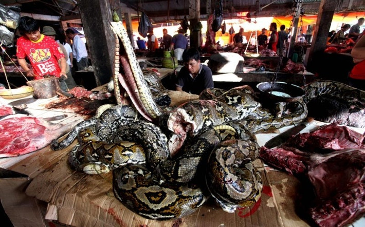 Quầy thịt trăn ở chợ Tomohon khiến nhiều người phát hoảng.