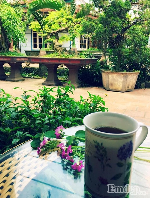 Chị Thùy Anh cũng thường ngồi đọc sách, làm việc hay thưởng trà ngay trên mảnh sân đầy nắng và ngập tràn sắc xanh này.