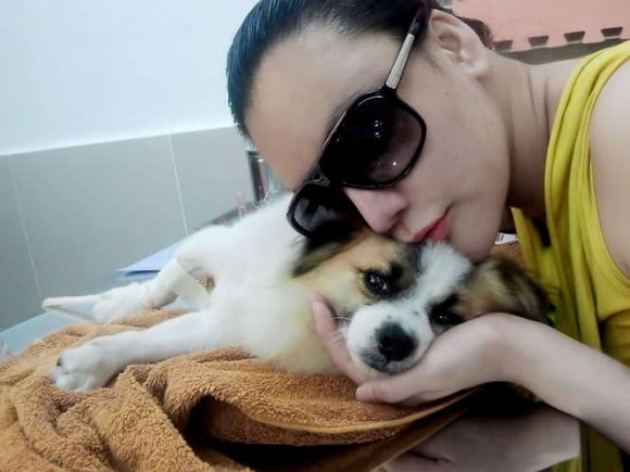 Về cuộc sống đời tư, Hồ Quỳnh Hương vẫn độc thân. Cô nuôi rất nhiều thú cưng và toàn tâm toàn ý trong vai trò doanh nhân của mình.