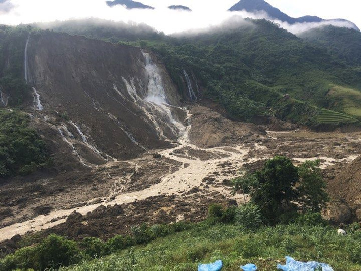 Mưa lũ đã làm ngập thiệt hại 22.926ha lúa (Sơn La: 553ha, Yên Bái: 281ha, Hòa Bình: 10.000ha, Hà Nội: 194ha; Hà Nam: 7.869ha; Ninh Bình: 2.647ha, Thanh Hóa: 1.096ha, Nghệ An: 323ha); 29.192ha ngô hoa màu (Sơn La: 110ha, Yên Bái: 705ha, Phú Thọ: 1.695ha, Hà Nội: 1.667ha, Hưng Yên: 850ha; Hà Nam: 8.212ha, Thanh Hóa: 7.023ha, Nghệ An: 8.630ha, Hà Tĩnh: 301ha) và 16.303ha cây trồng lâu năm, hàng năm và cây ăn quả tập trung: (Hà Nội: 218ha, Hưng Yên: 500ha, Hà Nam: 750ha, Thanh Hóa: 13.375ha, Nghệ An: 1.461ha).