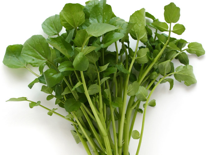 Trong rau cải xoong có rất nhiều các loại vitamin như: C, A, B1 và B2 giúp nâng cao sức đề kháng cho cơ thể và phòng chống lão hóa. Ảnh: Đầu báo.