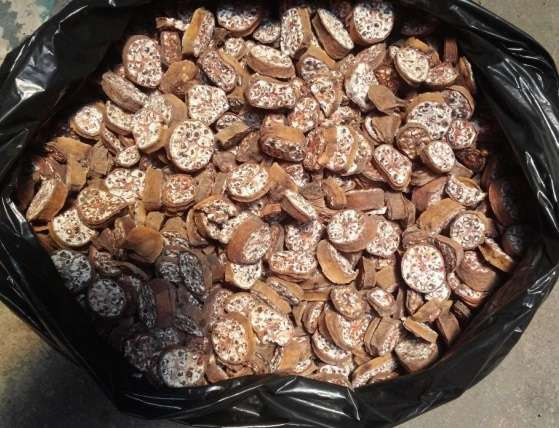 Vỏ quả chuối rừng đã chín vàng, thái nhỏ, phơi khô mỗi ngày lấy 4 - 8g, hãm nước sôi uống trị đau bụng tiêu chảy.