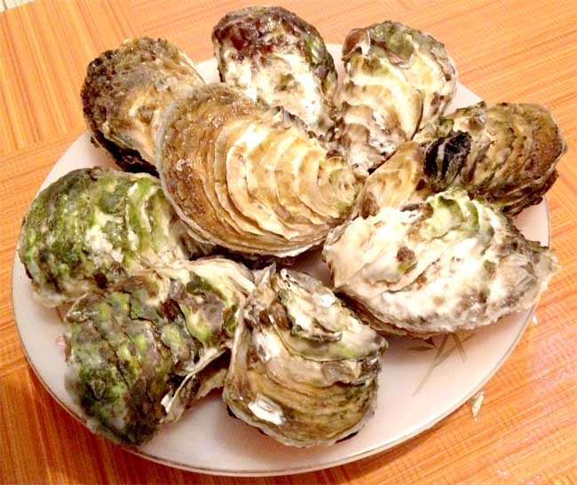 Người ta dùng vỏ hàu rang vàng tán nhỏ làm thuốc chữa đau dạ dày, cơ thể suy nhược, mồ hôi trộm, băng huyết.