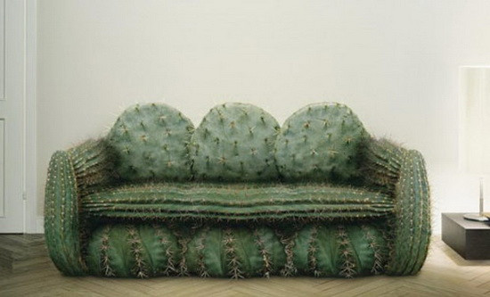 Cuối cùng mẫu sofa xương rồng gai có thể khiến khách của bạn e ngại khi ngồi thử.