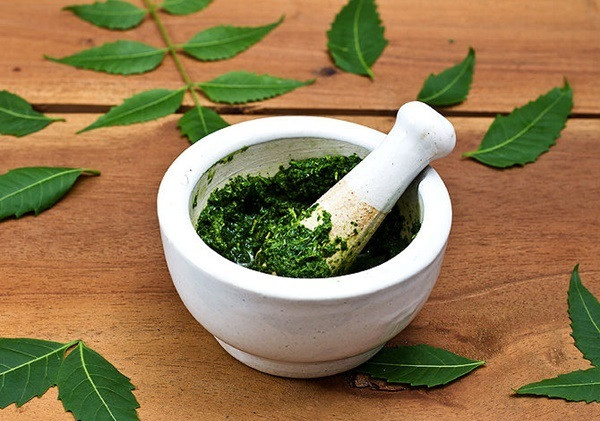 Cao lá táo giã nát cùng vài hạt muối dùng để dán vào nốt mụn nhọt, để hút mủ ở các nhọt độc, nhọt bọc, đặc biệt các nhọt có nhiều mủ, quánh đặc, khó nặn ra.