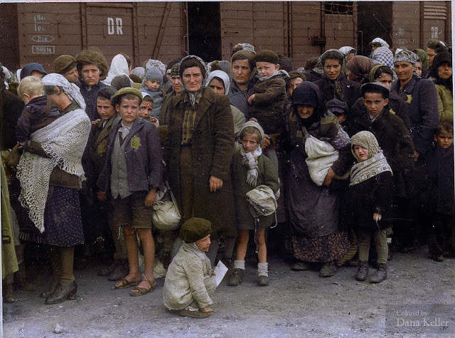 Phụ nữ và trẻ em Do Thái bị đưa đến trại tử thần Auschwitz-Birkenau, Ba Lan năm 1944.