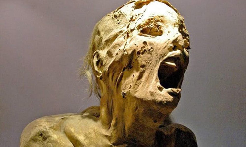 Một số chuyên gia hoài nghi xác ướp vô danh này là con trai của Pharaoh Ramses III - hoàng tử Pentewere. Đây là người con trai của pharaoh Ramses III bị buộc tội âm mưu giết cha. Ngôi mộ vô danh có thể là cách trừng phạt dành cho kẻ phạm tội phản nghịch giết cha. Cho đến nay, các nhà khảo cổ vẫn chưa có kết quả kiểm tra ADN trong thời gian tới để xác định mối quan hệ giữa "Người đàn ông vô danh E" và pharaoh Ramses III. Vì vậy, danh tính thực sự của "Xác ướp la hét" vẫn nằm trong bí ẩn.