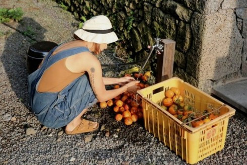 Ngoài thú vui nấu ăn, Lee Hyori còn rất thích tự tay trồng rau, quả phục vụ cuộc sống hàng ngày.