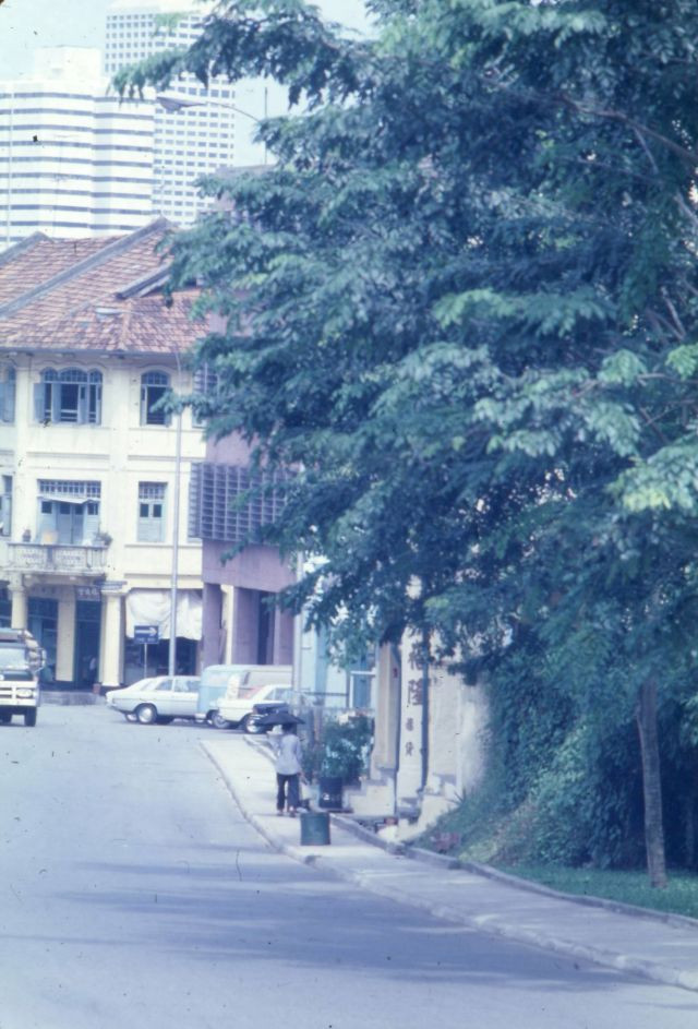 Nhiều cây xanh được trồng ở Singapore.
