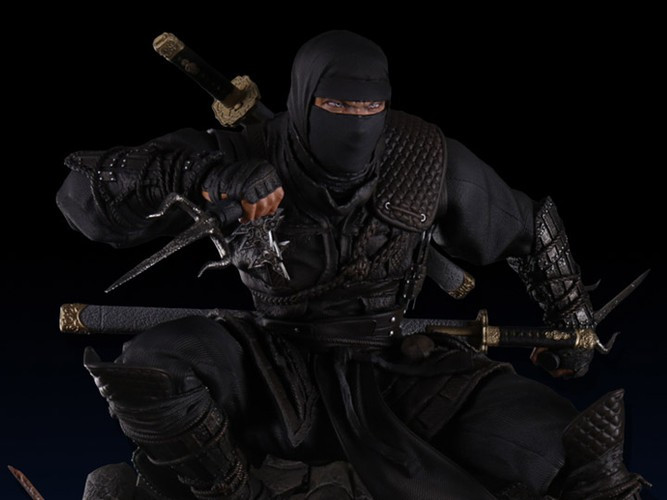 Trong số này có việc các Ninja phải tuyệt đối tuân thủ chế độ luyện tập khắc nghiệt. Không chỉ rèn luyện sức khỏe, họ còn phải luyện võ nghệ, sử dụng thành thạo nhiều loại vũ khí.