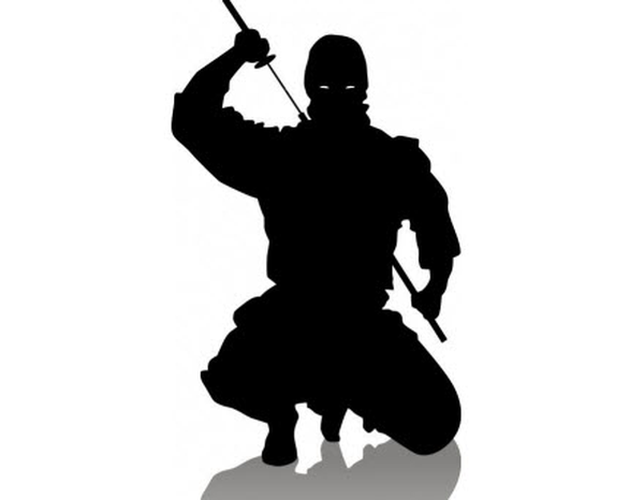 Do Ninja chủ yếu thực hiện các nhiệm vụ gián điệp, trinh sát, thậm chí là ám sát nên họ tuyệt đối không được tiết lộ nhiệm vụ với bất cứ ai kể cả đó là người thân cận, tin tưởng nhất.