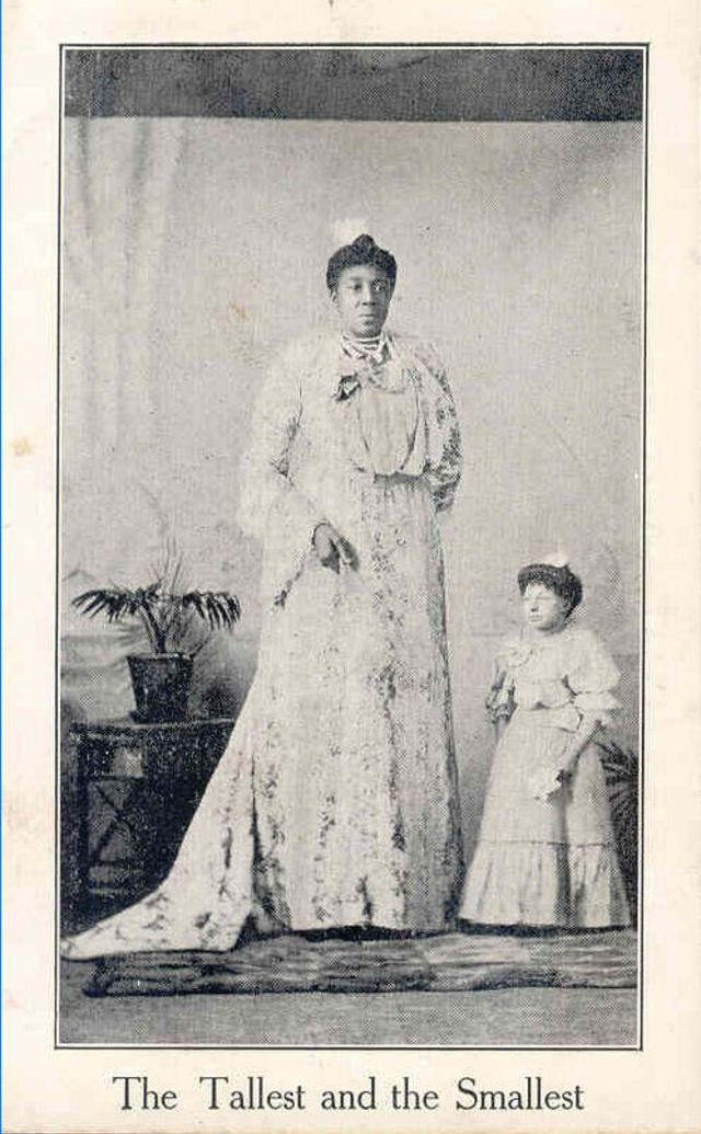 Khi Anh tuyên chiến với Đức vào tháng 8/1914, bà Williams hủy các chuyến lưu diễn và quay trở về Mỹ.
