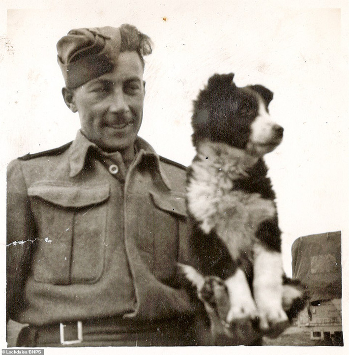 Người lính chơi đùa cùng với một con chó ở Syria năm 1943.