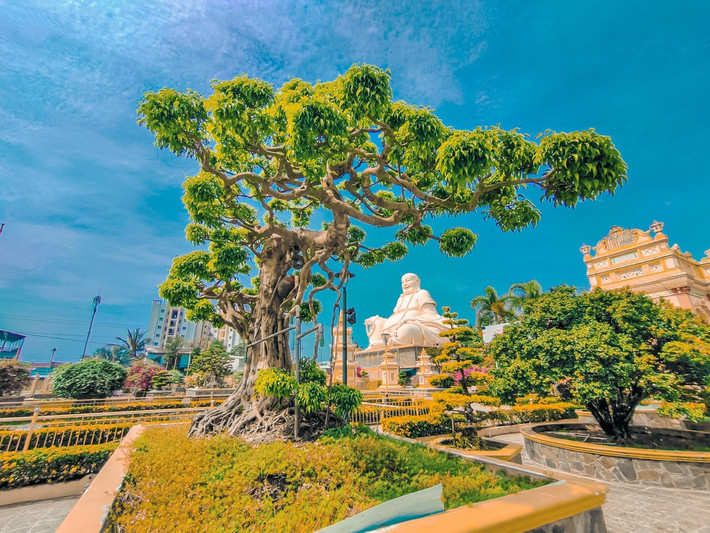 Nếu muốn đến chùa từ TP.HCM, du khách đi theo hướng quốc lộ 1A đến trung tâm thành phố Mỹ Tho. Sau đó, bạn theo hướng tỉnh lộ 879 khoảng 3 km, đến công viên Vĩnh Tràng, sau đó rẽ trái khoảng 300 m. Chùa nằm cách trung tâm thành phố Mỹ Tho khoảng 4 km.