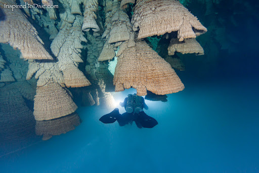 Việc hình thành các "chuông tử thần" ở El Zapote cenote là một bí ẩn lớn mà đến nay giới khoa học chưa thể đưa ra lời giải chính xác.
