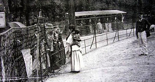Những vườn thú đặc biệt này có thêm "thú cưng" khác là con người. Họ là những thổ dân châu Phi hay người da đen đến từ một số nơi trên thế giới. Họ đến các thành phố của châu Âu với mong muốn bắt đầu một cuộc sống mới nhưng không thể ngờ rằng lại trở thành đối tượng được mọi người ngắm nhìn trong vườn thú.