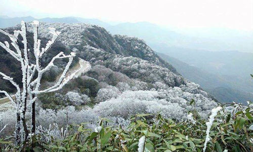 Đỉnh núi Phia Oắc ở Cao Bằng vào sáng ngày 24.11 mang trên mình một màu trắng xóa của băng tuyết. Ảnh: S.N.Mai