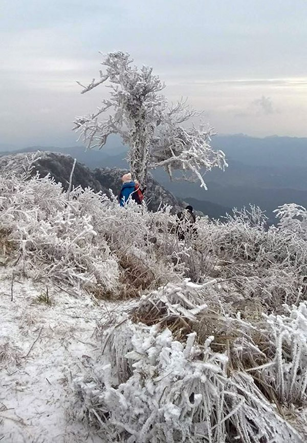 Cùng với không khí lạnh là cơn mưa nhỏ kèm gió thổi mạnh khiến người dân khi phải ra ngoài trời đều cảm thấy buốt giá. Ảnh: Hiên Hoàng.