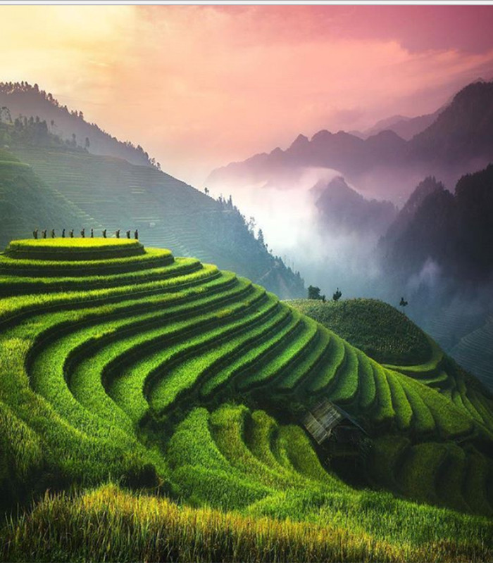 Trong danh sách những điểm đến nên đến 1 lần trong đời, Bright Side ca ngợi ruộng bậc thang của Việt Nam. Nơi đây được đánh giá là một điểm đến tuyệt đẹp trên thế giới mà du khách nên ghé thăm.