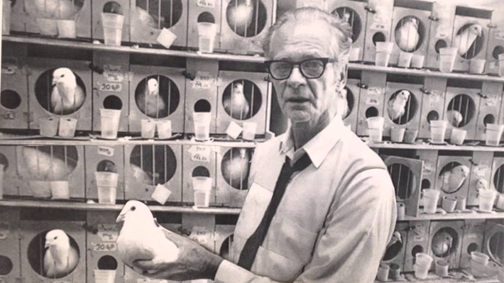 Nhà khoa học B.F.Skinner (Mỹ) từng gây xôn xao dư luận khi thực hiện dự án tên lửa do bồ câu dẫn đường. Mỗi lên lửa loại này sẽ được gắn hệ thống thấu kính ở phía trước mũi để phản chiếu hình ảnh mục tiêu đến màn hình bên trong.