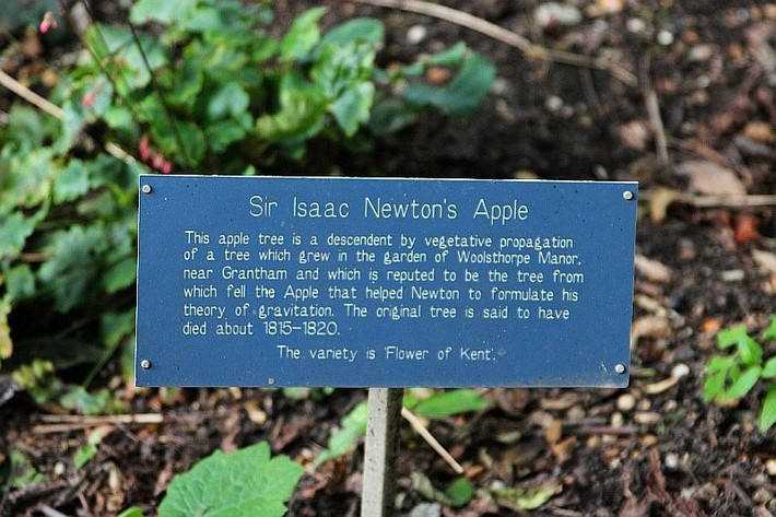 Vào năm 1666, Newton trở về ngôi nhà thời thơ ấu ở Woolsthorpe trong bối cảnh ĐH Cambridge, nơi ông đang theo học, tạm đóng cửa vì bệnh dịch hạch hoành hành. Tại đây, ông thường đi dạo trong khu vườn có cây táo.