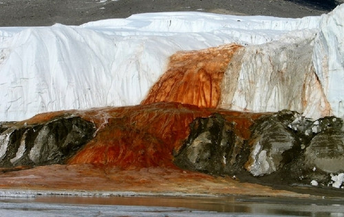 "Thác máu" trên hồ Taylor Glacier, quốc gia Antarctica là một trong những điều kỳ lạ nhất thế giới. Nổi bật giữa hồ băng trắng toát là dòng nước chảy có màu đỏ như máu vô cùng kỳ bí và khác thường. Màu sắc kỳ lạ này là do chất sắt dioxit trong nước - kết quả của quá trình trao đổi chất diễn ra tại đây.