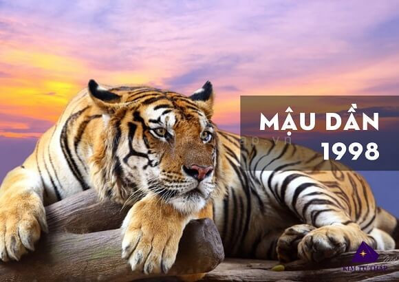 1. Tuổi Dần 1998: Con giáp Mậu Dần sinh năm 1998 là người cực kỳ có tài lại chăm chỉ, nỗ lực, bất kể nam hay nữ, nên họ có cuộc đời cực kỳ huy hoàng, tương lai xán lạn đang chờ đón.
