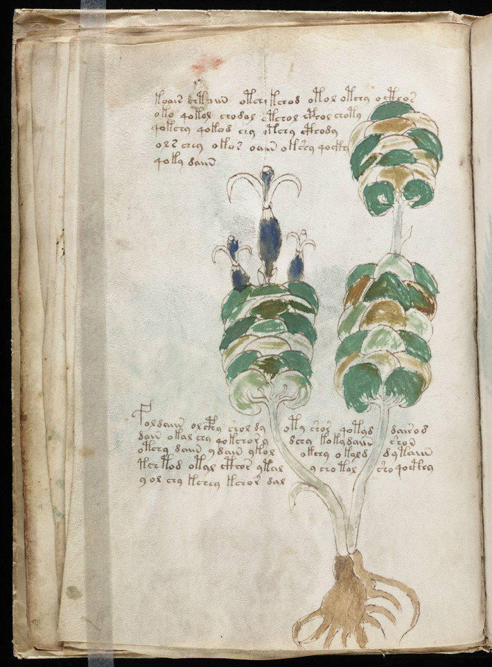 Nhiều chuyên gia, nhà khoa học hàng đầu tiếp cận bản thảo Voynich để giải mã nội dung cuốn sách. Họ sử dụng nhiều phương pháp, cách thức giải mã ngôn ngữ kỳ lạ trong bản thảo nhưng không phát hiện nó trùng khớp với bất cứ ngôn ngữ nào mà con người từng biết đến.