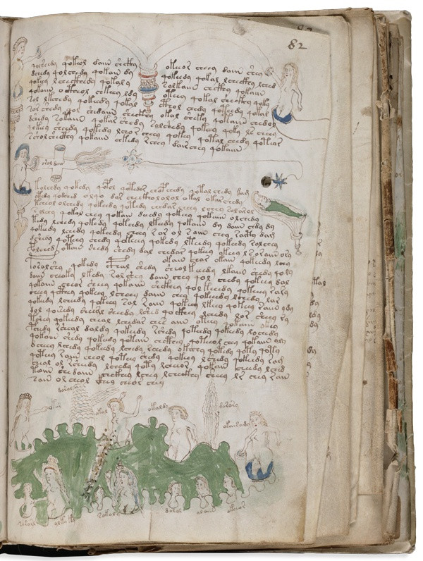 Bản thảo Voynich trở thành một trong những bí ẩn lớn nhất nhân loại khi chỉ dày 240 trang nhưng được viết bằng một ngôn ngữ lạ. Thêm nữa, nhiều biểu đồ và hình thực vật kỳ quái trong cuốn sách cũng khiến giới chuyên gia "đau đầu" đi tìm lời giải.