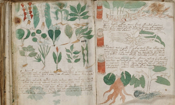 Ông Voynich là người mua nó từ một thư viện đại học ở Italy vào năm 1912. Kể từ đó, cuốn sách được thế giới biết đến khi ẩn chứa những bí ẩn khó giải.