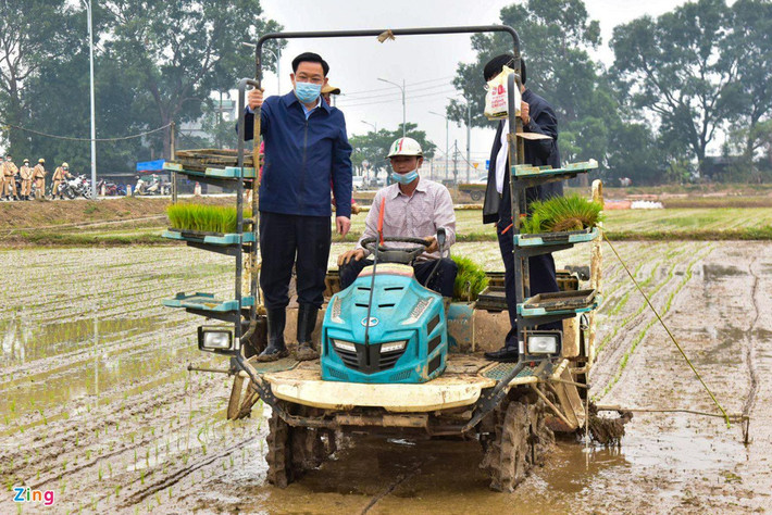 Ông Huệ và ông Ngọc Anh đã trực tiếp đứng máy cấy, tham gia những đường cấy vụ xuân trên thửa ruộng rộng lớn là thành quả của công tác dồn điền đổi thửa, xây dựng nông thôn mới.