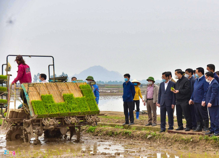 Trò chuyện thân tình với bà con nông dân trên cánh đồng, Bí thư Thành ủy vui mừng khi biết, từ nhiều năm nay, bên cạnh đẩy mạnh phát triển làng nghề, xã Dị Nậu vẫn duy trì và không ngừng đổi mới, phát triển sản xuất nông nghiệp.