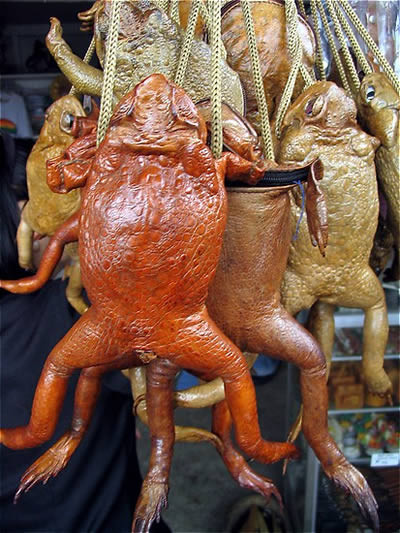 Chiếc xắc nhỏ hình những chú ếch.