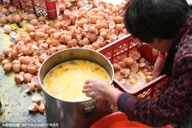 Những người dân mang xô chậu đến đựng trứng giúp người tài xế xe tải.