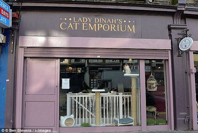 Quán cà phê mèo Cat Emporium Lady Dinah đã trở thành một điểm đến được yêu thích khi nó khai trương ở London năm ngoái.